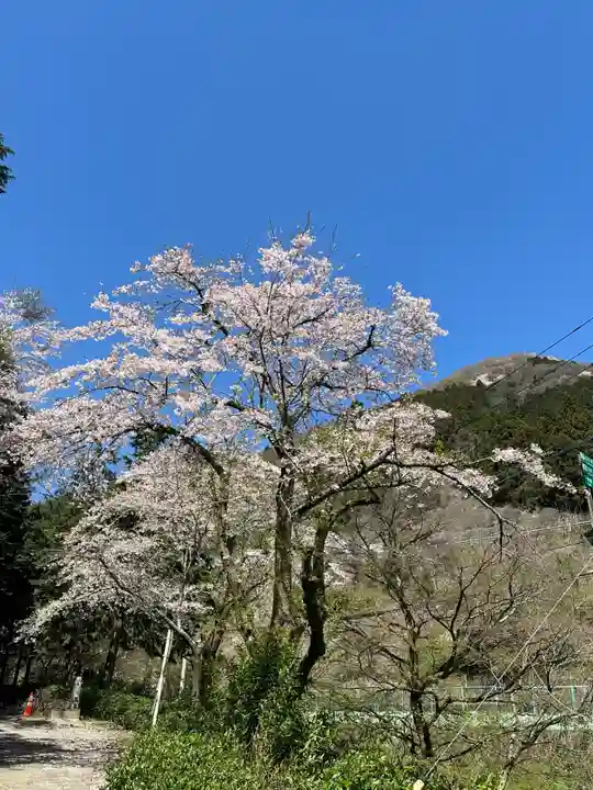 浅川神社(東京都)