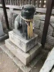 三島神社の狛犬