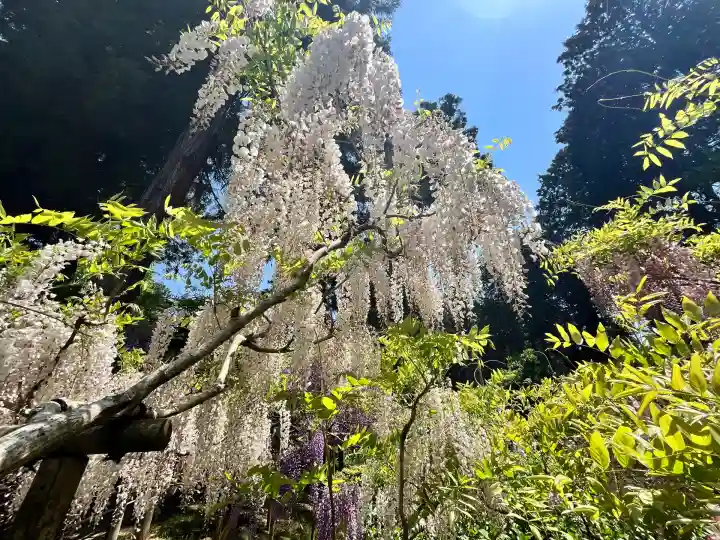 歌泉堂(春日大社神苑萬葉植物園内鎮座)(奈良県)