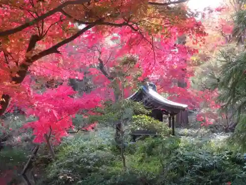 深大寺の庭園