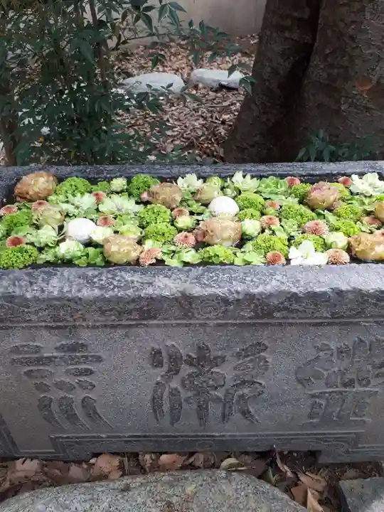 行田八幡神社の手水舎
