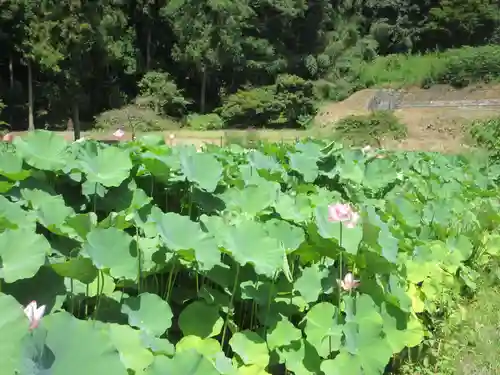 久昌寺(埼玉県)