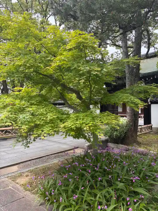 智積院(京都府)