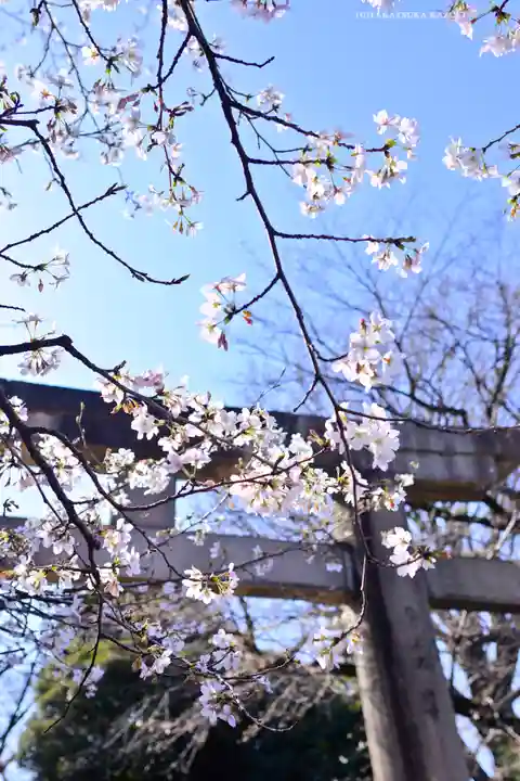 上野東照宮(東京都)
