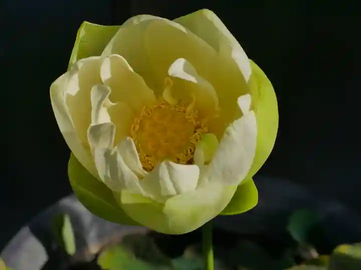 極楽山 浄土寺(北海道)