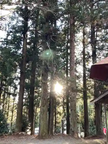 吾妻神社(群馬県)