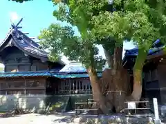 焼津神社の本殿