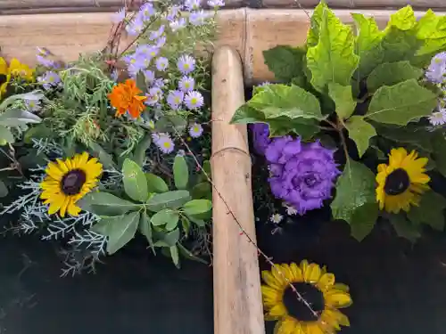 眞田神社(長野県)