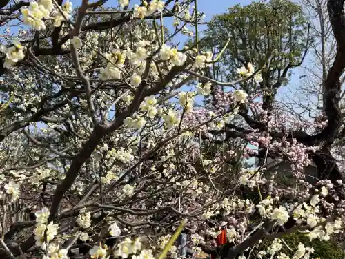 東寺（教王護国寺）の{uncategorized: "未分類", other: "その他", undefined: "問題あり", building: "その他建物", grave: "お墓", sacred_gate: "鳥居", guardian: "狛犬", statue: "像", buddha: "仏像", history: "歴史", nature: "自然", garden: "庭園", animal: "動物", pagoda: "塔", temizu: "手水舎", mountain_gate: "山門・神門", sanctuary: "本殿・本堂", subordinate: "末社・摂社", art: "芸術", scenery: "景色", jizo: "地蔵", ema: "絵馬", goshuin: "御朱印", omikuji: "おみくじ", items: "授与品その他", amulet: "お守り", goshuincho: "御朱印帳", eats: "食事", festival: "お祭り", votive_dance: "神楽", shichigosan: "七五三参", wedding: "結婚式", experience: "体験その他", initially: "初詣", around: "周辺", anti_infection: "感染症対策"}