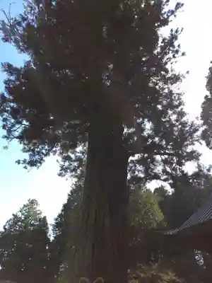 北口本宮冨士浅間神社(山梨県)