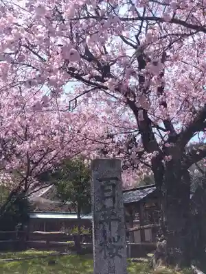 春日神社(京都府)