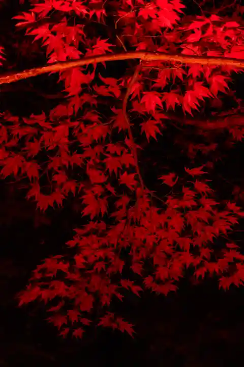 北野天満宮(京都府)