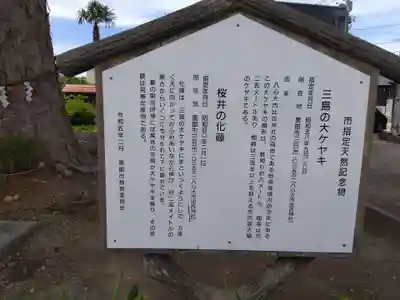 八心大市比古神社(富山県)
