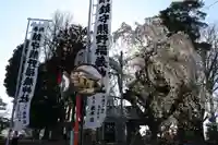 熊野福藏神社の景色