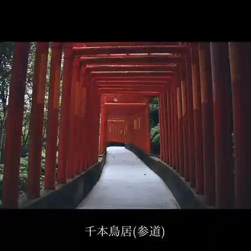 福徳稲荷神社の鳥居