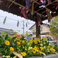 豊景神社の手水舎