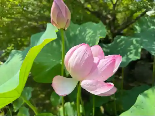 伊勢の国 四天王寺(三重県)