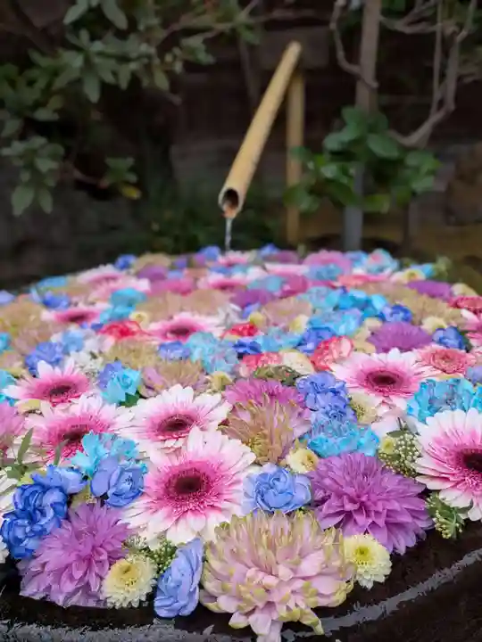 心行寺(東京都)