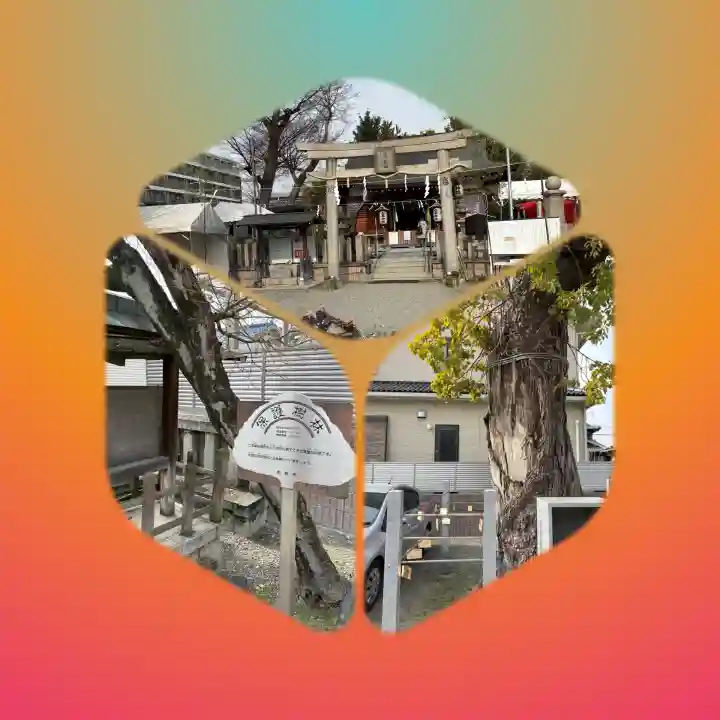 白井神社の鳥居