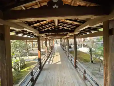 大覚寺(京都府)