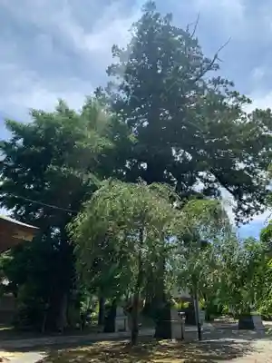松崎神社(千葉県)