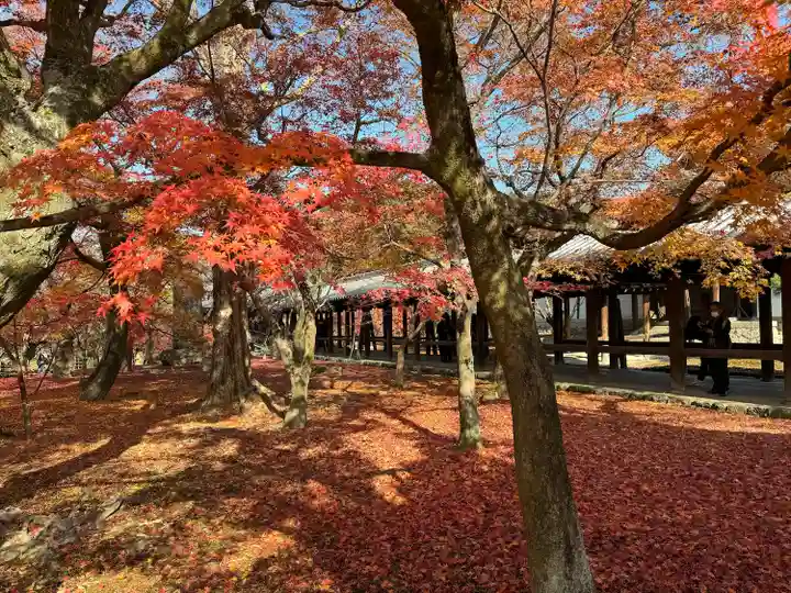 東福禅寺(東福寺)(京都府)