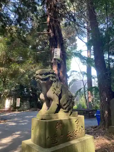 岩槻久伊豆神社の狛犬