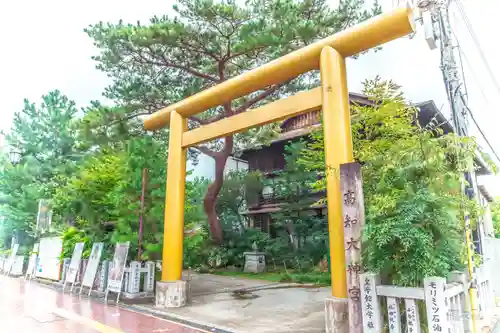 高知大神宮の鳥居