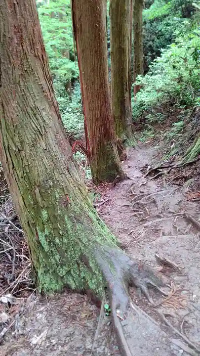 御岩神社の自然
