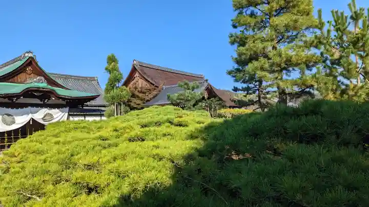 大覚寺(京都府)