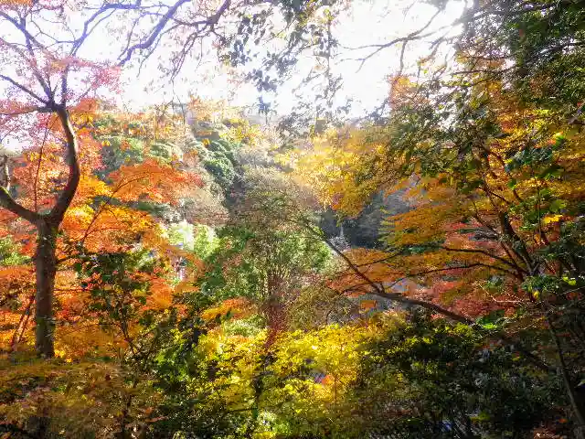安國論寺(安国論寺)の自然