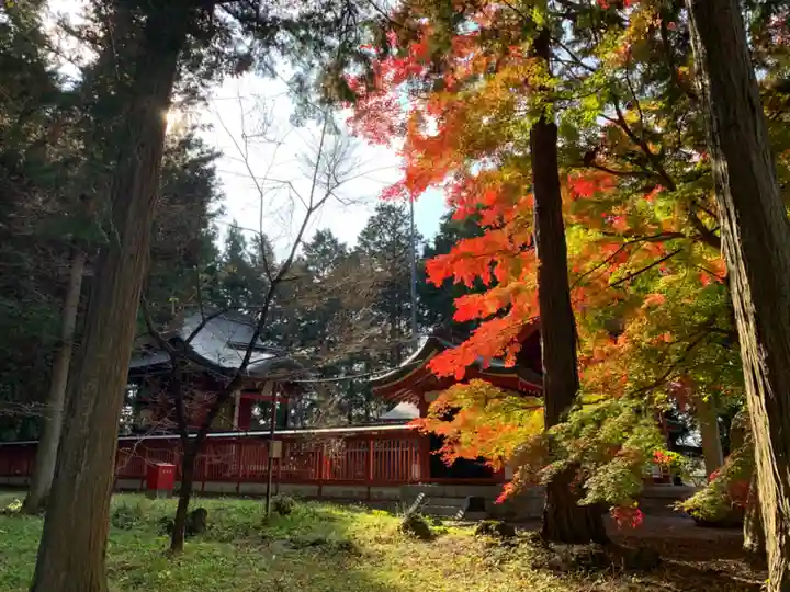 冨士御室浅間神社の自然