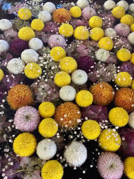 上野総社神社の手水舎