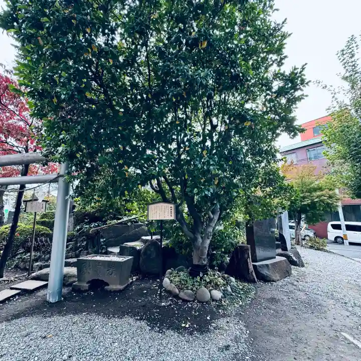鎮守氷川神社(埼玉県)