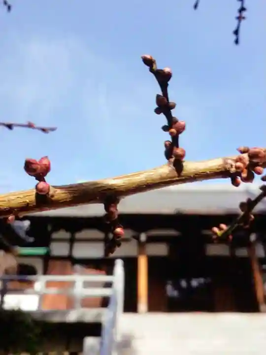 玄国寺(東京都)