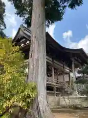 金剛城寺の本殿