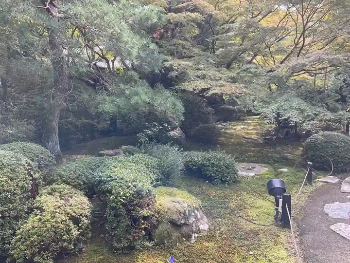 青蓮院門跡(京都府)