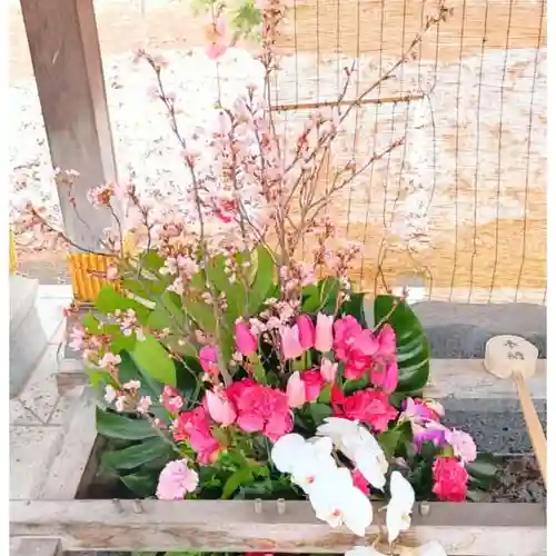 彌彦神社　(伊夜日子神社)の手水舎