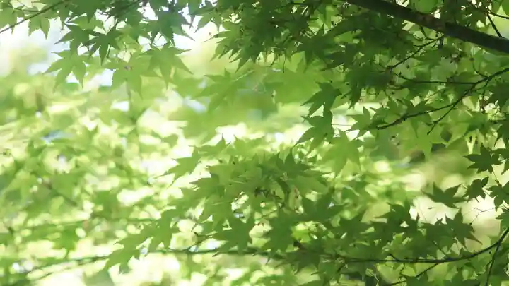 建仁寺(建仁禅寺)(京都府)