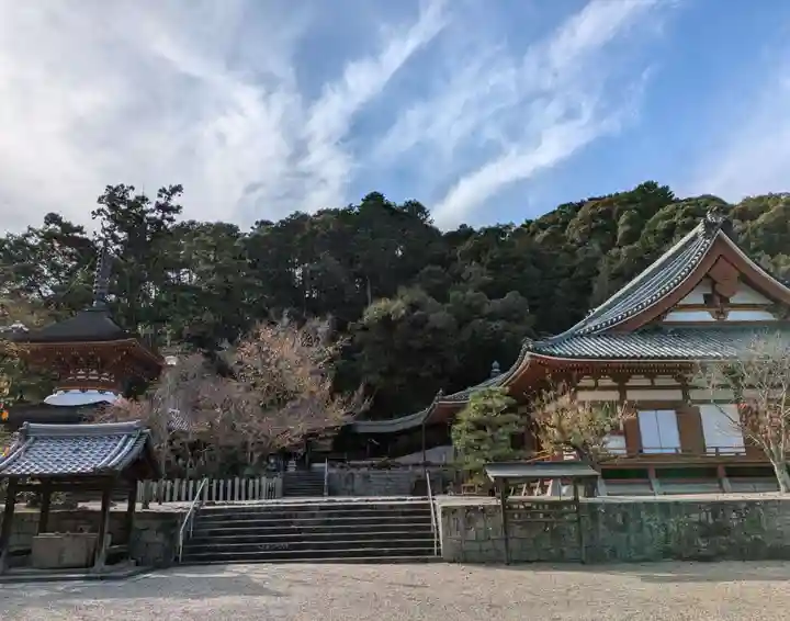 金剛寺(大阪府)