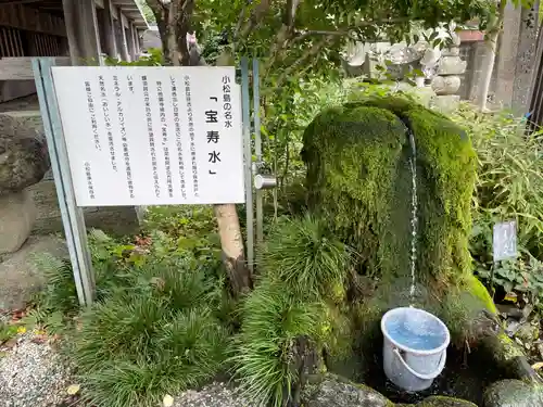 地蔵寺(徳島県)