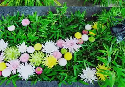 東海市熊野神社の手水舎