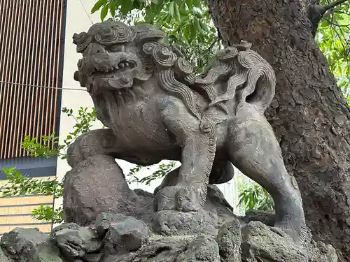 赤坂氷川神社の狛犬