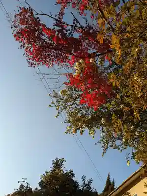石内のお大師さん　金剛院(広島県)
