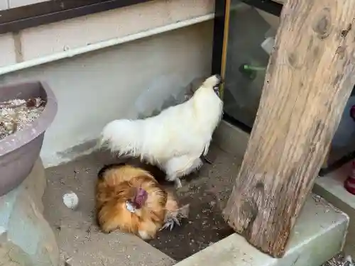 観音寺(神奈川県)