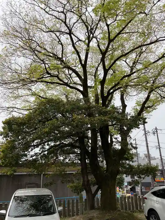 深川神社(愛知県)