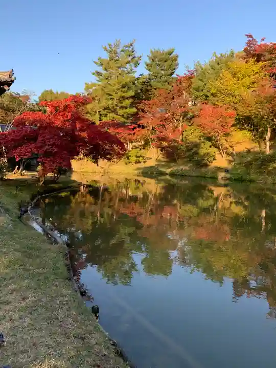 高台寺(高台寿聖禅寺・高臺寺)の景色
