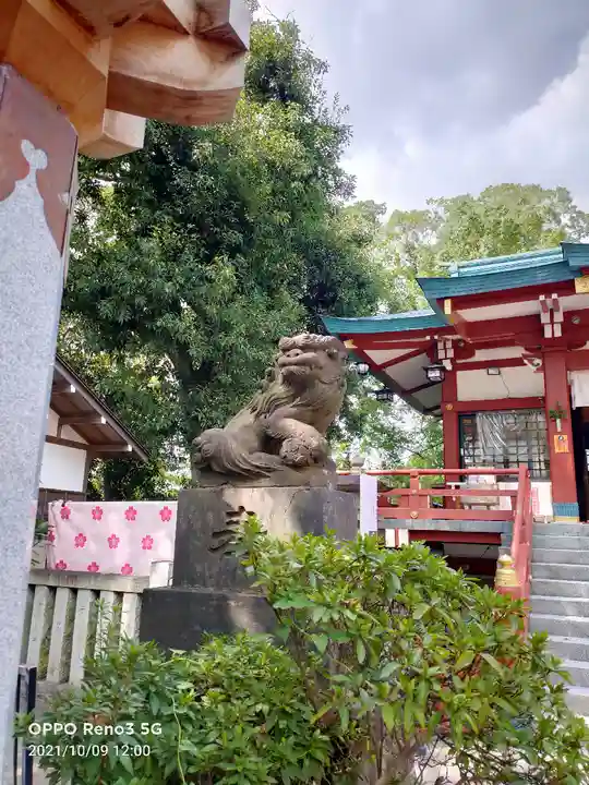 多摩川浅間神社の狛犬