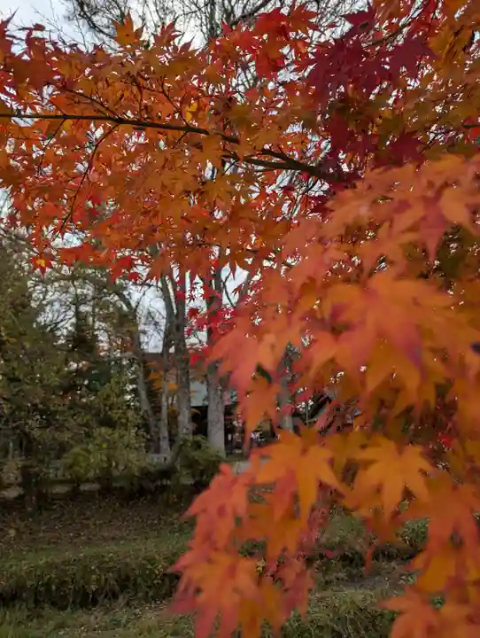淺間神社(忍野八海)(山梨県)