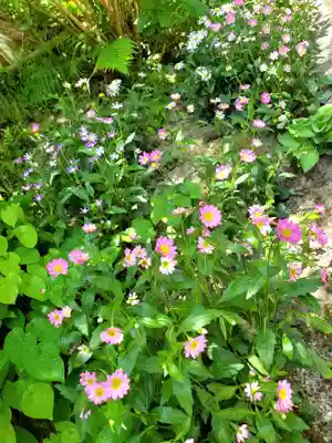 石都々古和気神社(福島県)